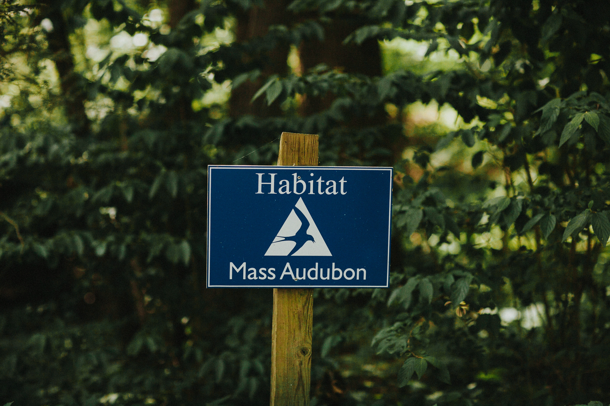 Mass Audubon Signage