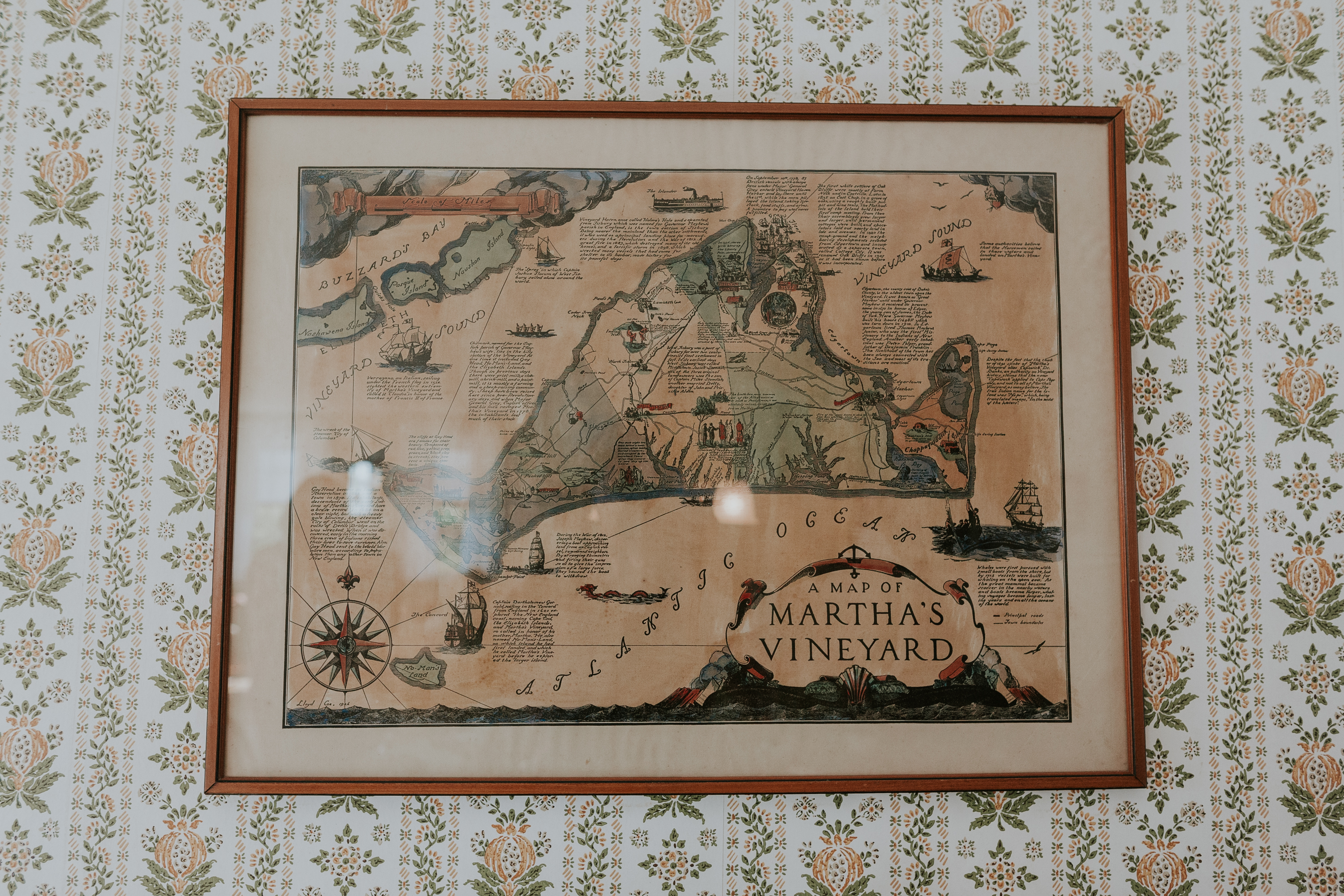 map of martha's vineyard, map on wall, map of island, picture of martha's vineyard on wall, wallpaper wall, vineyard